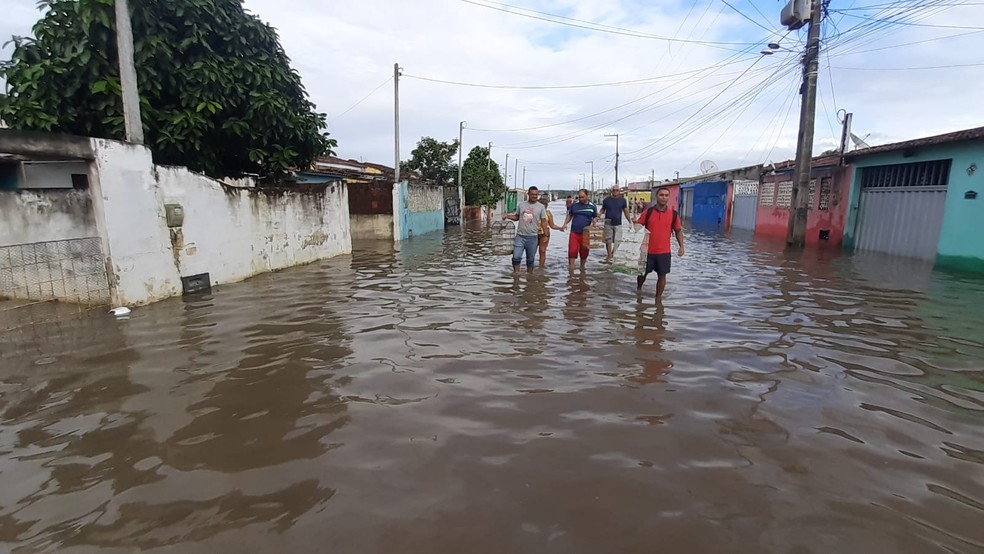 Cheia do Rio Curimataú obriga localidade inteira a deixar suas casas em Canguaretama, RN